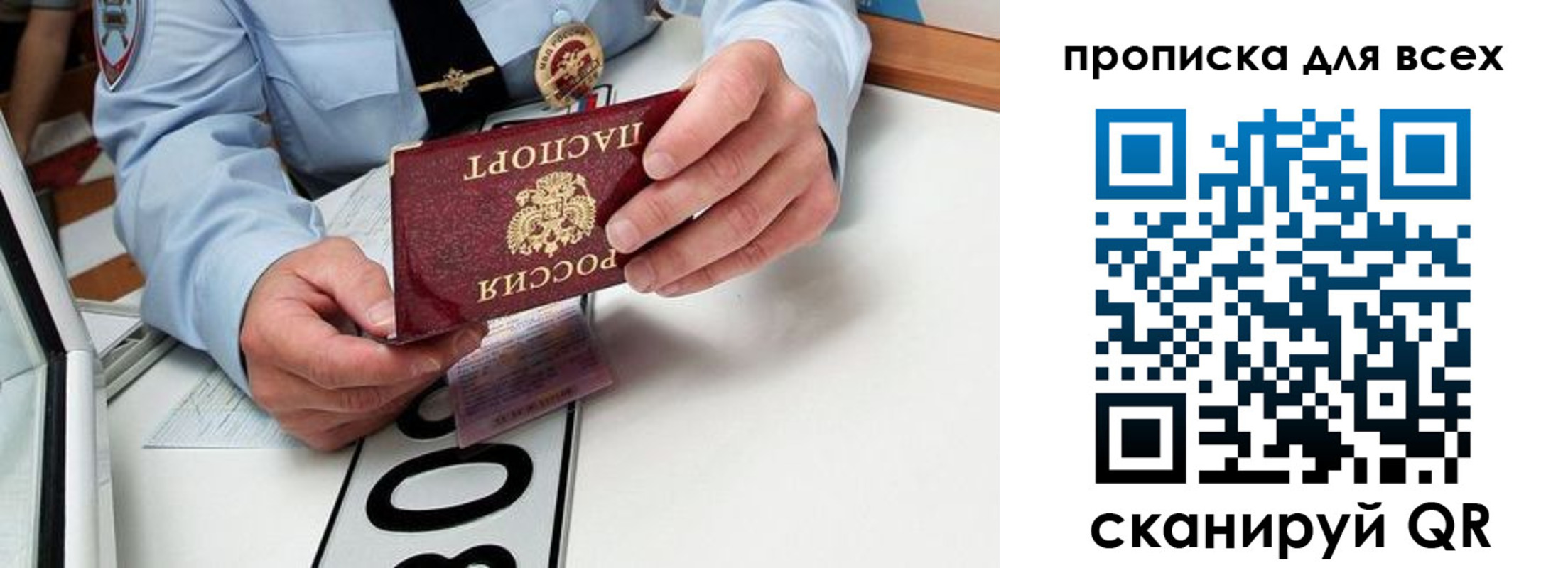 прописка для школы в Светлограде